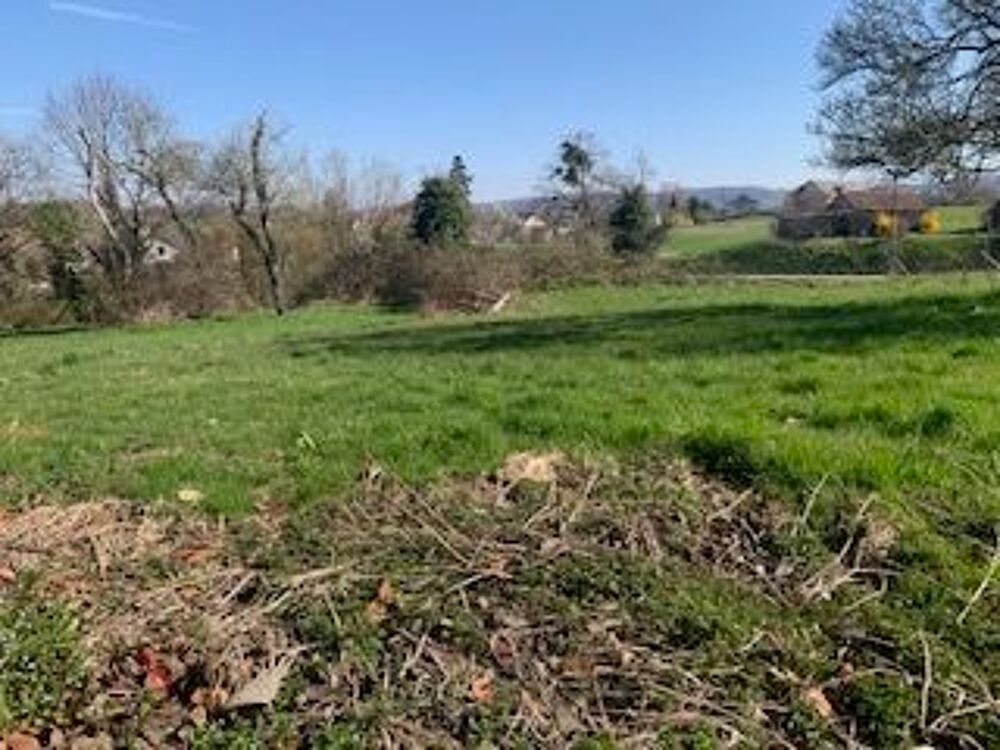 Vente Terrain terrain constructible 10,38 Ares proche frontière suis Thulay