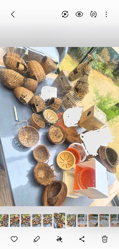 Gros lot divers NIDS pour oiseaux bon &eacute;tat 30 30100 Al�s