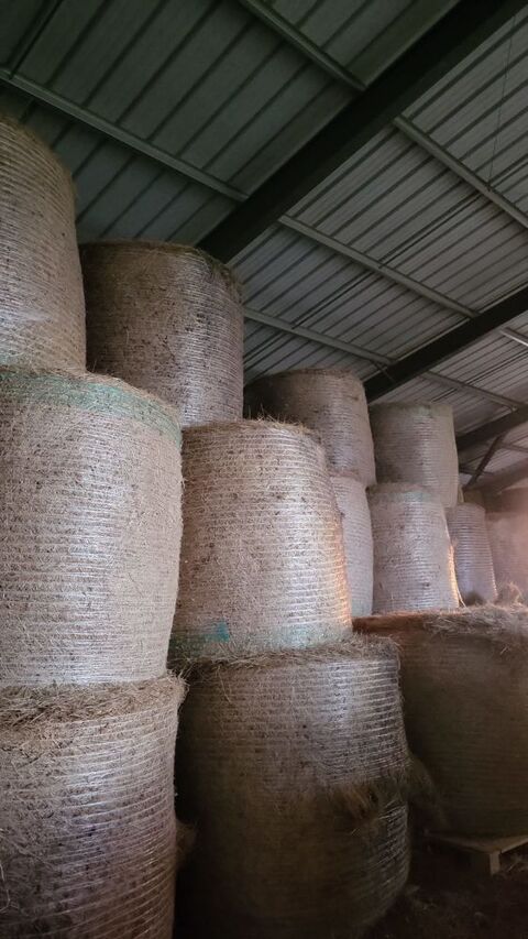 FOIN / CEREALES BIO 100 81190 Mirandol-bourgnounac