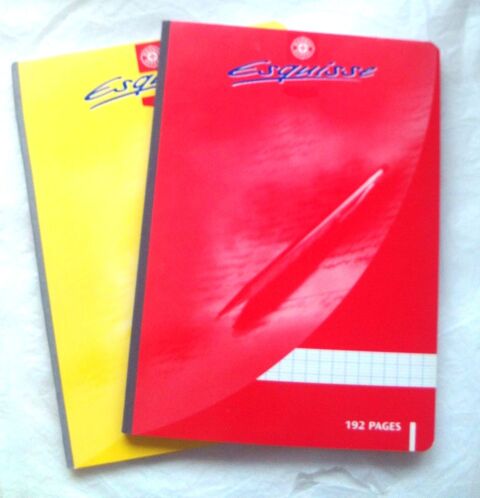 Lot de 2 cahiers, A4, 192 pages, dos toil� 4 Villeurbanne (69)