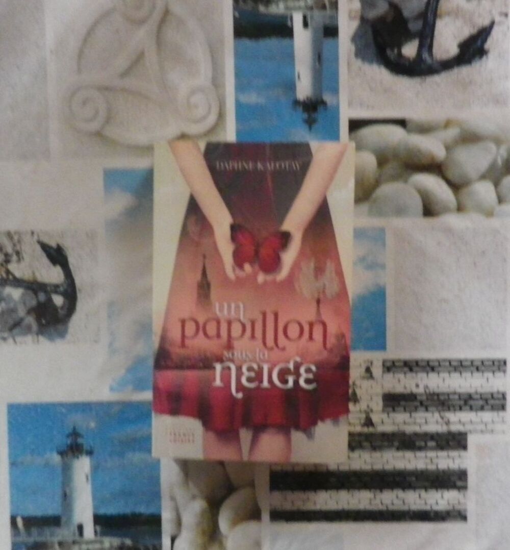 UN PAPILLON SOUS LA NEIGE de Daphne KALOTAY Ed.France Loisir Livres et BD