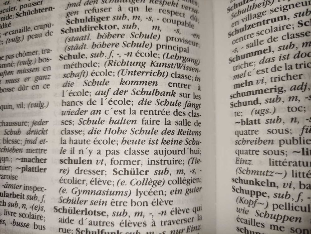 Dictionnaire Franco-Allemand Das neue grosse W&ouml;rterbuch Livres et BD