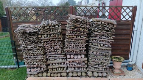bois thuya 50 CM 3 st�res 100 euros 100 Montigny-le-Bretonneux (78)