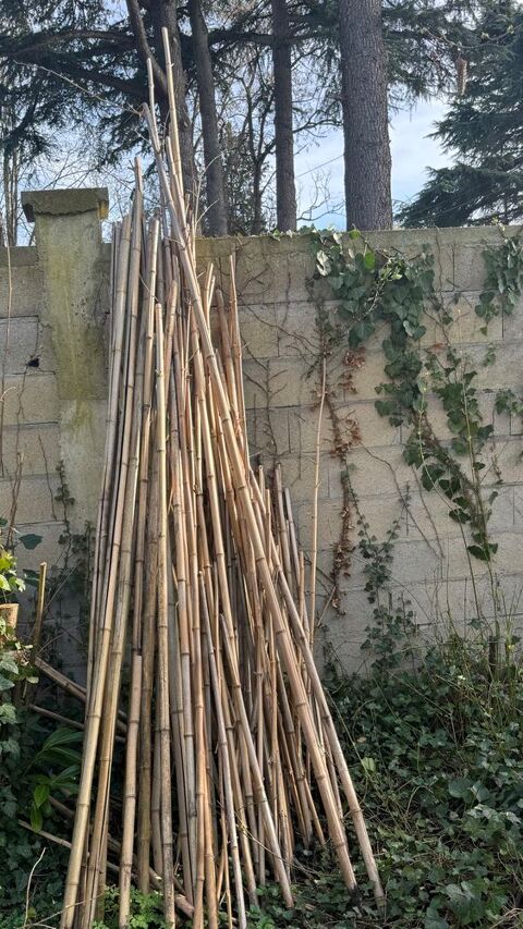 Tuteurs en bambou 0 Draveil (91)