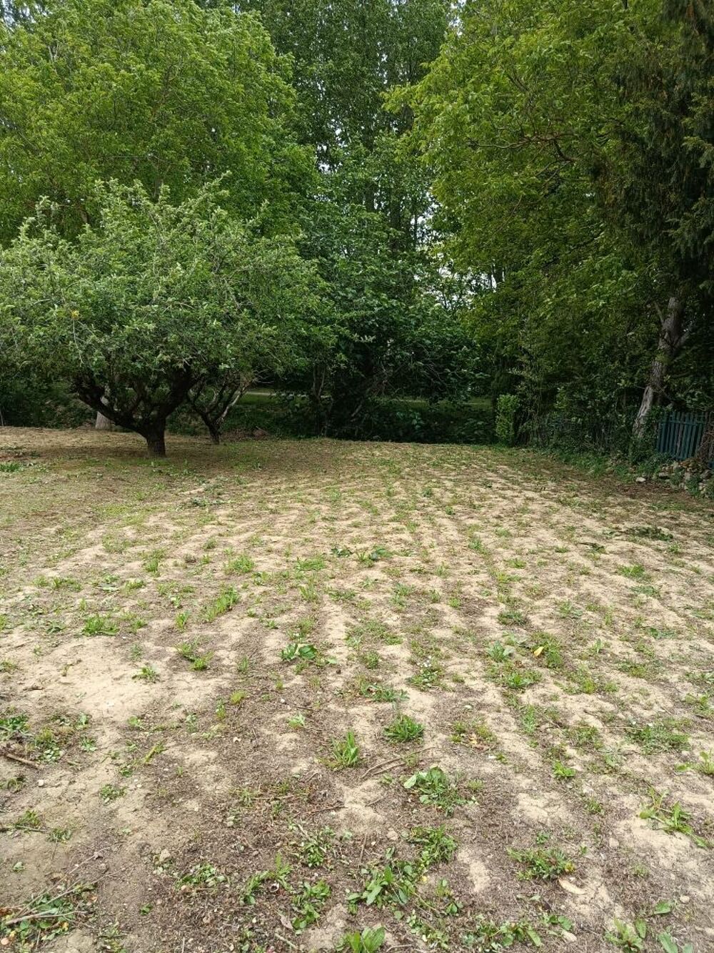 Vente Terrain Terrain constructible Saint-michel-de-lanès