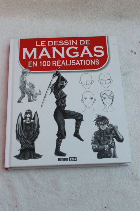 Livre Dessiner de Mangas et 100 ralisations  3 Montigny-Lencoup (77)