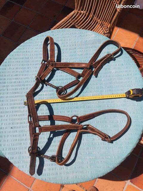 Lot de 2 licols cuir double &acirc;ne / poney + 2 chasses mouches 60 17700 Puyravault