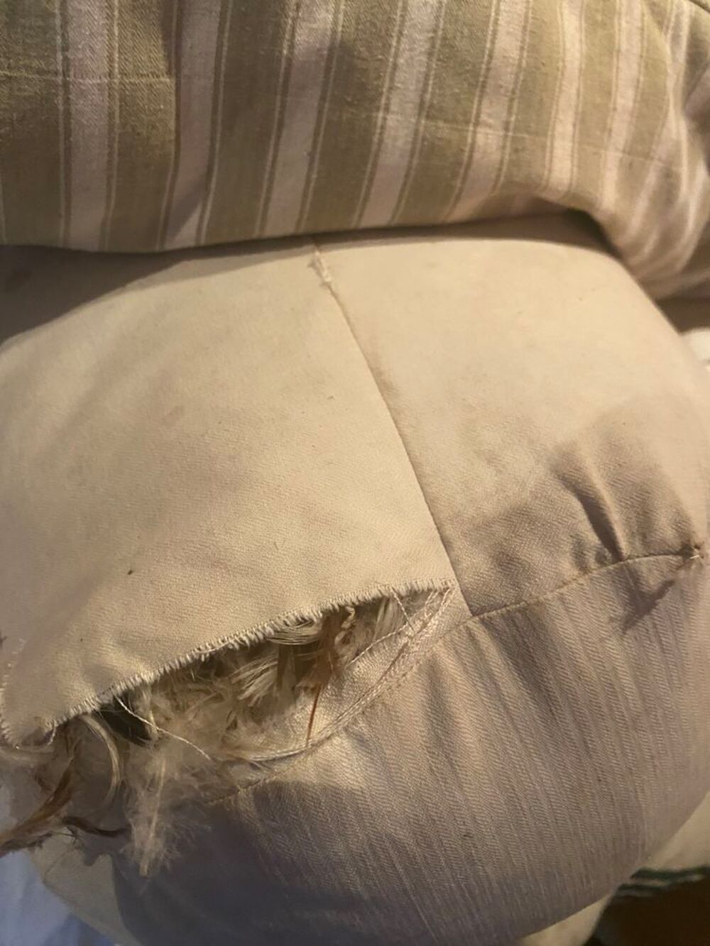 Plume d'oie et duvet de canard Bricolage