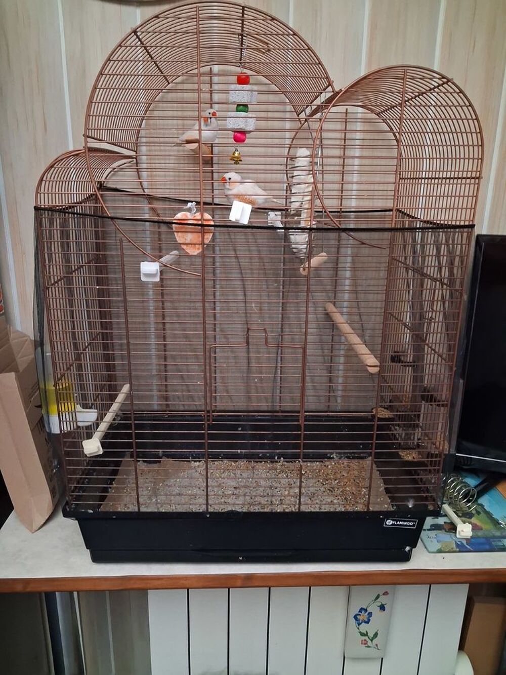   grande cage oiseaux neuf servi 3 mois 