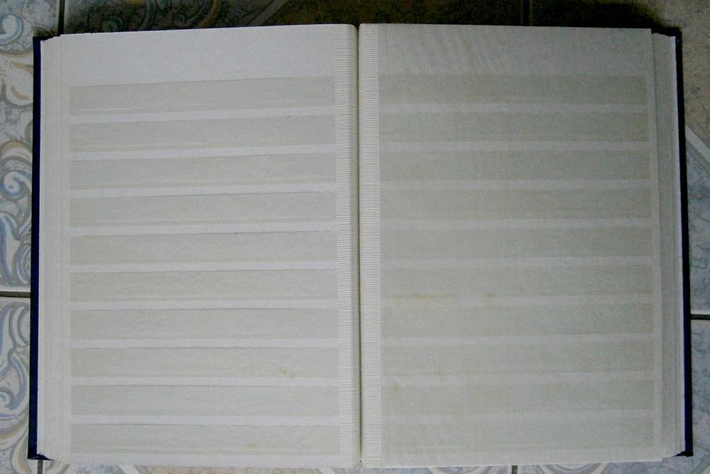 Grand classeur pour timbres 48 pages fond blanc 