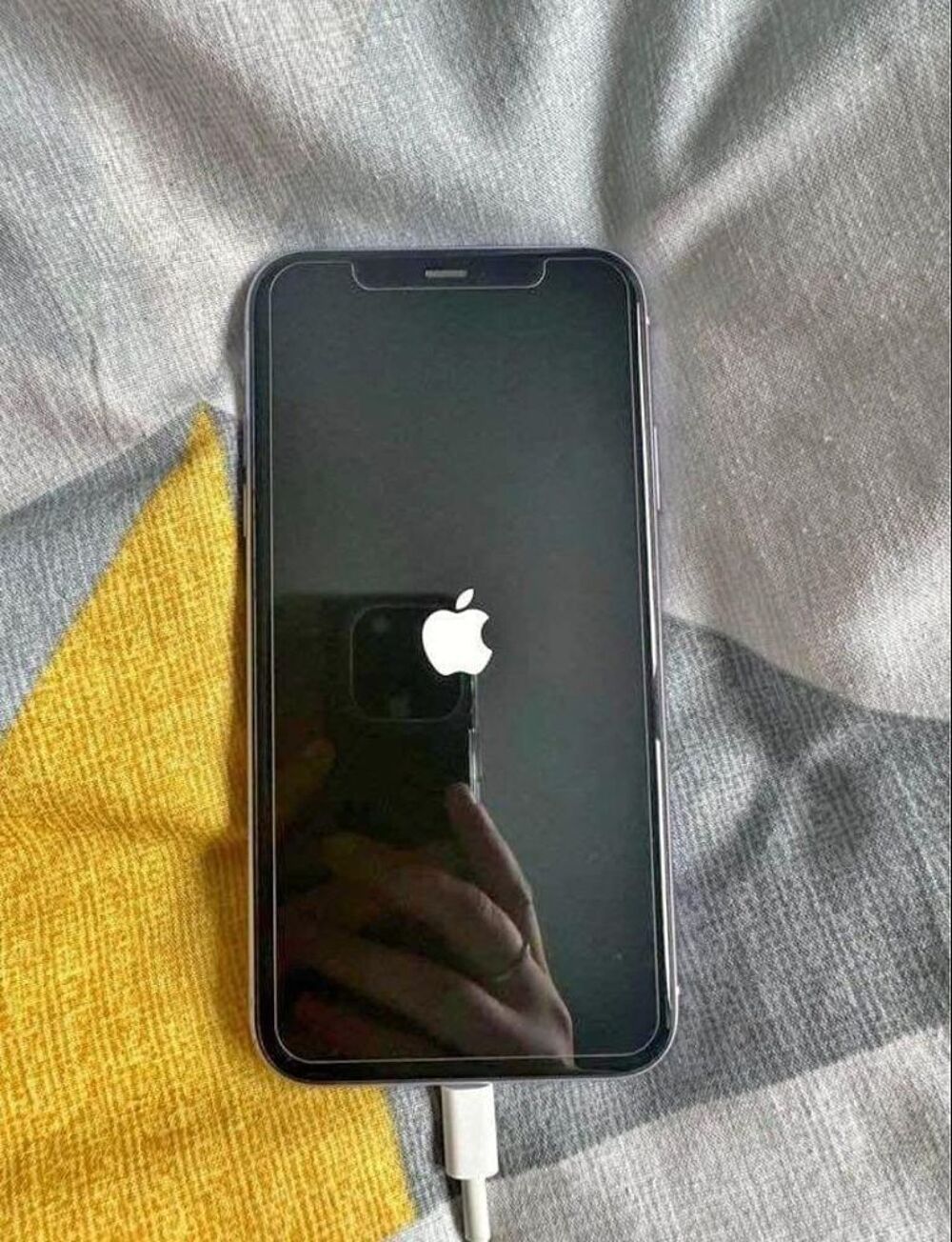 Iphone 13 bleu disponible Téléphones et tablettes