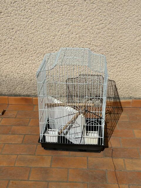 Cage &agrave; oiseaux  50 69400 Villefranche-sur-saône