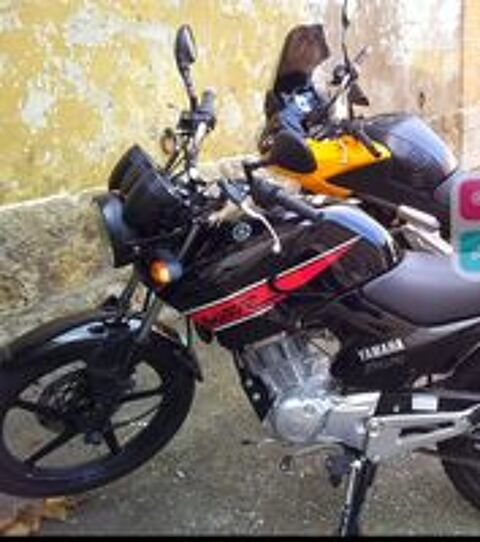 YAMAHA 2013 occasion 54360 Mont-sur-Meurthe