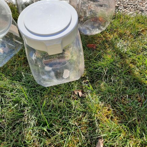 Lots de 6 bocaux � confiseries 15 Caug� (27)