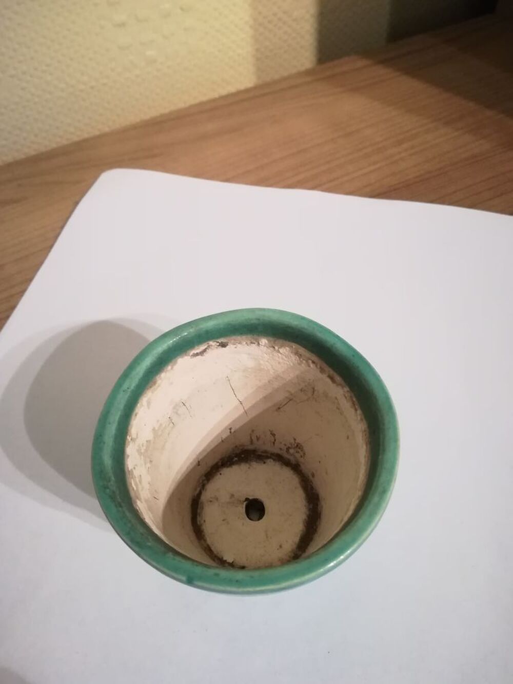 ANCIEN TRES PETIT POT POUR CACTUS OU FLEURS (collection) 
Jardin