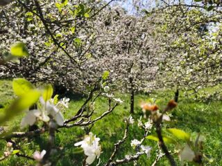  Terrain � vendre 14720 m� Poullaouen