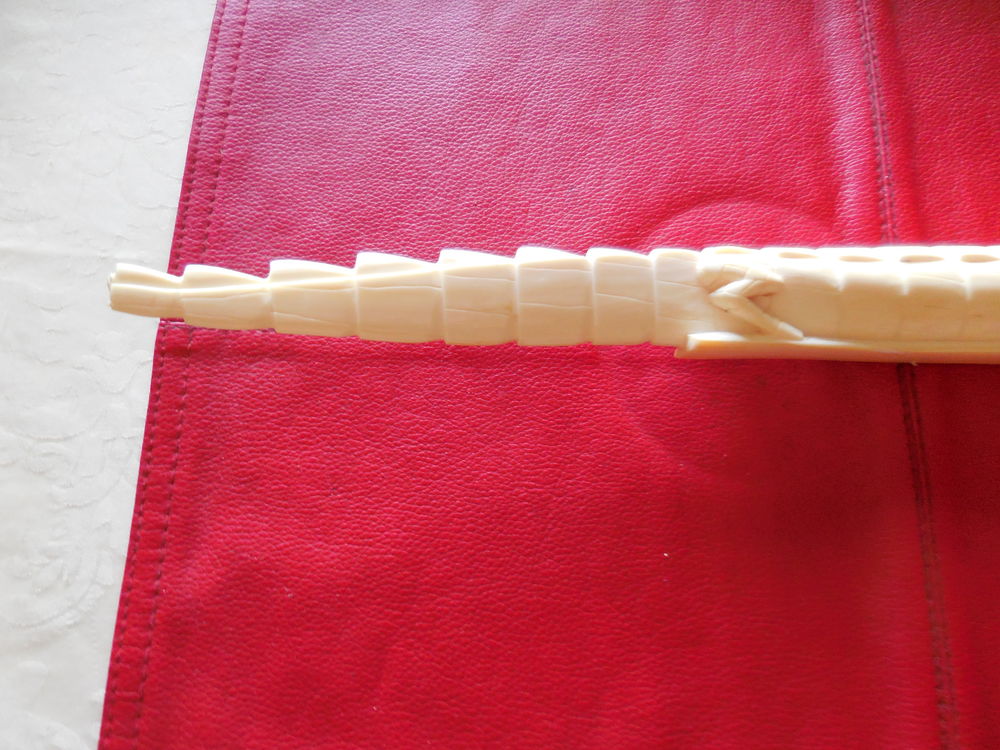 DENTS DE MORSE 