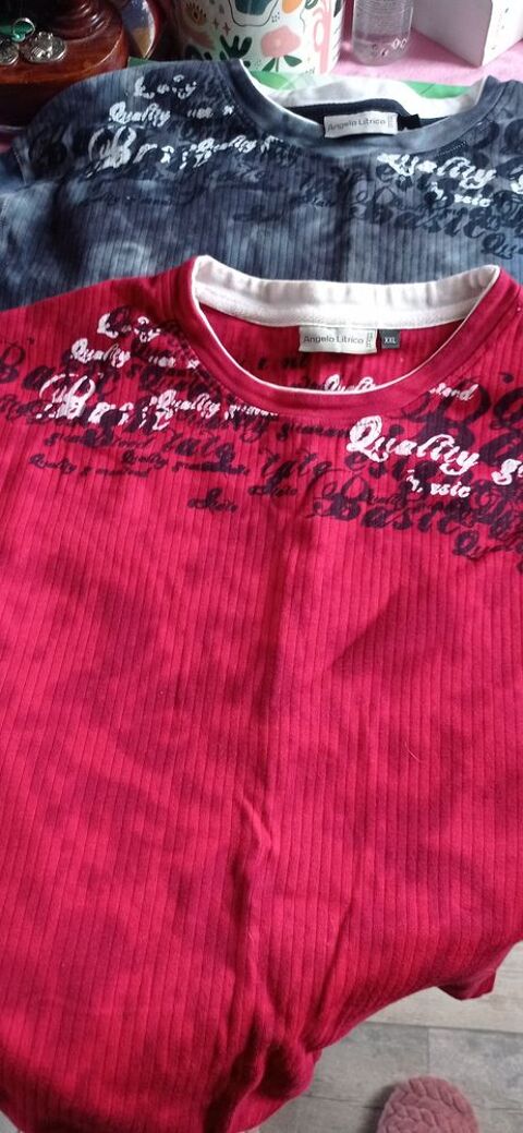 lot de 2 t-shirt pour homme 8 Pantin (93)