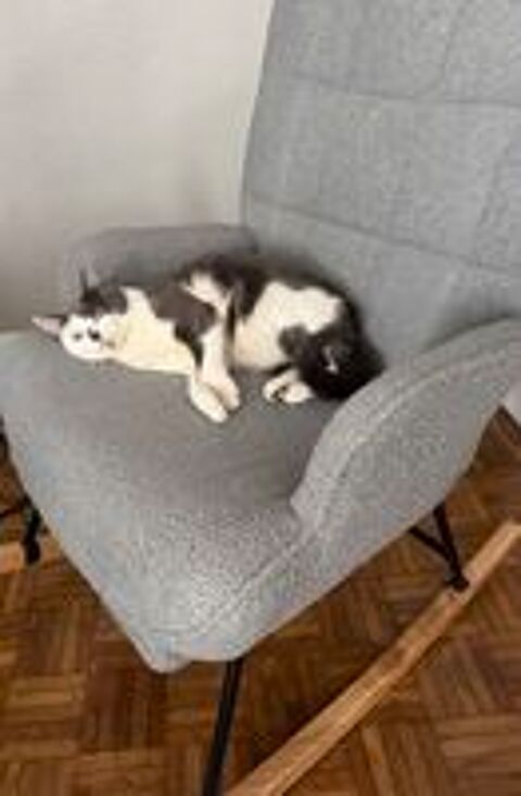   Petsitter garde d'animaux 