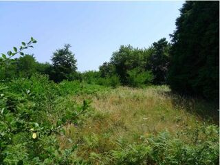  Terrain  vendre 3130 m Les martys