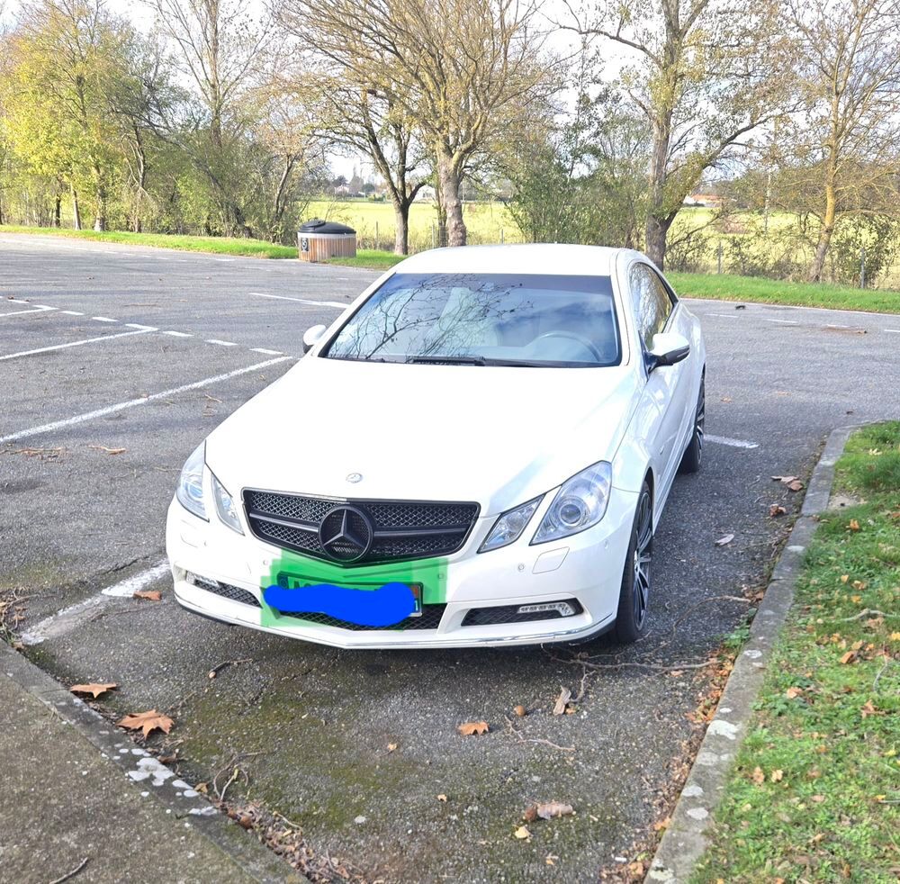 Classe E 350 CDI BlueEfficiency El&eacute;gance Executive 4-Matic A 2009 occasion 31140 Saint-Alban