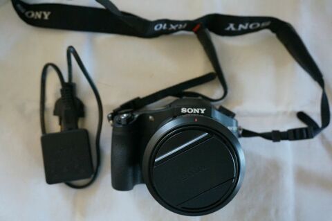 sony Alpha RX 10 II 500 Saint-Germain-sur-Moine (49)