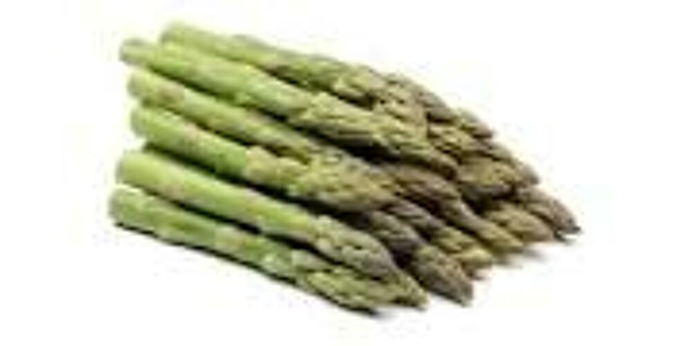 12 plants ou griffes d'asperges vertes Jardin