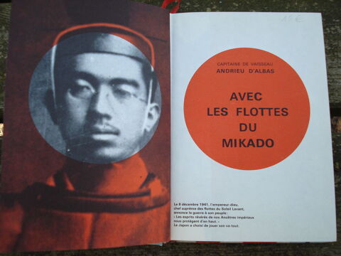 Livre avec les flottes du Mikado 8 Avignon (84)