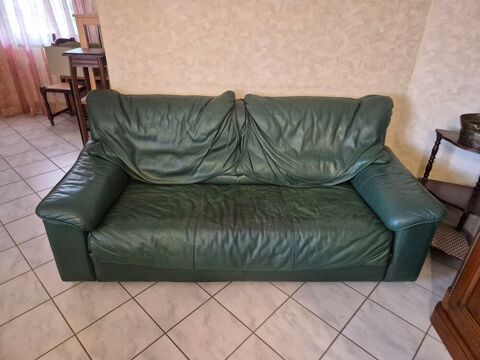 Canapé cuir vert 50 Anneyron (26)