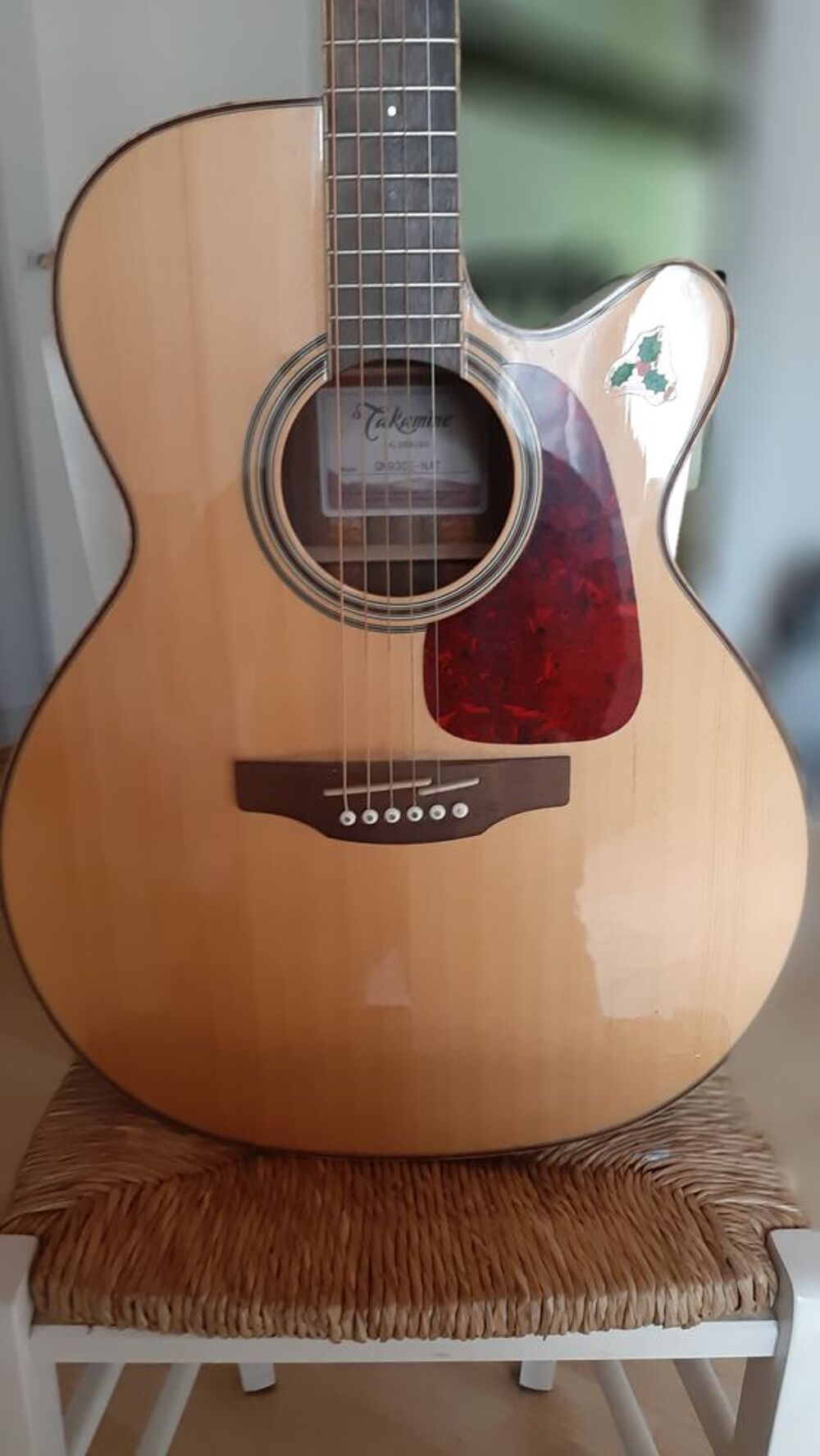 av guitare TAKAMINE Instruments de musique