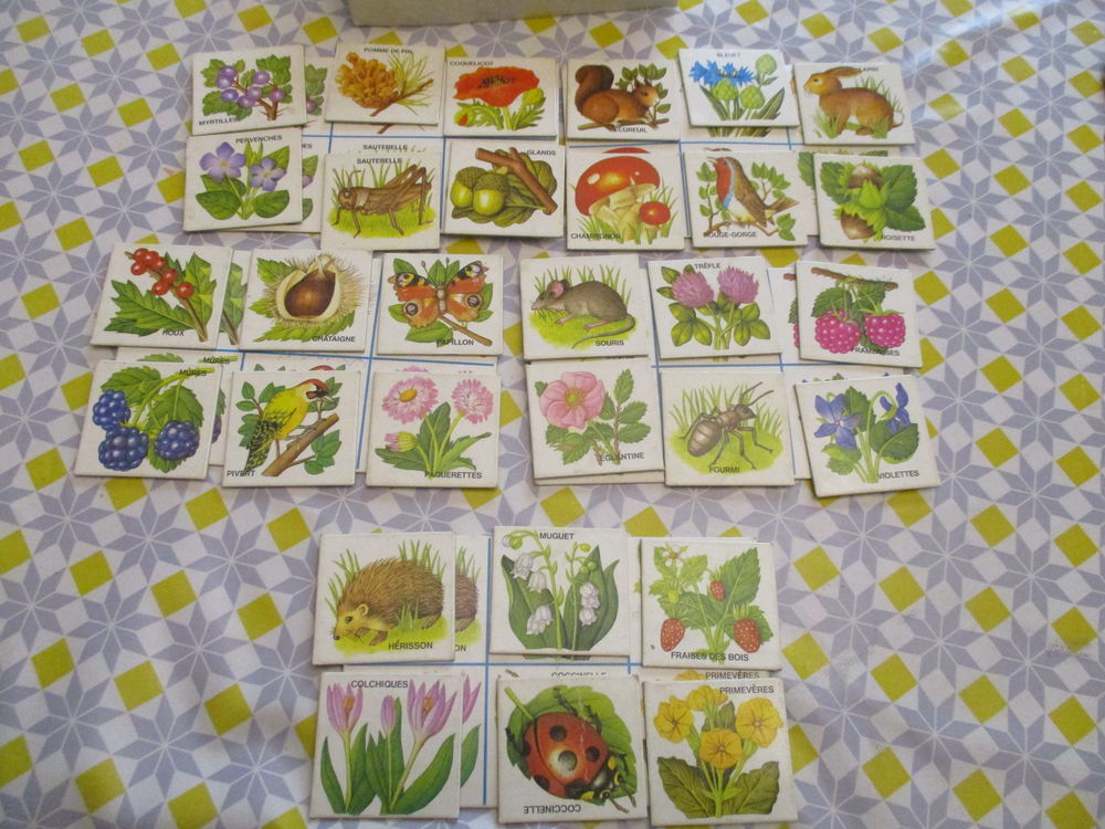 Jeux divers tarot alphabet et dominos et autres et livres Jeux / jouets