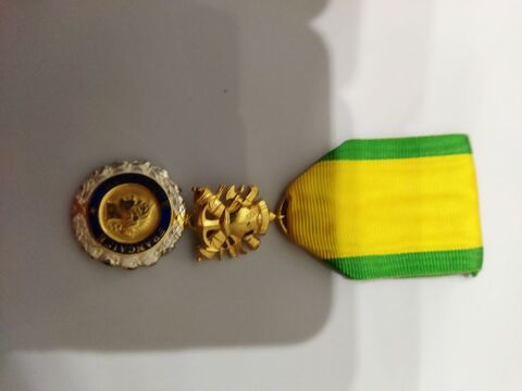 medaille militaire 60 Manchecourt (45)