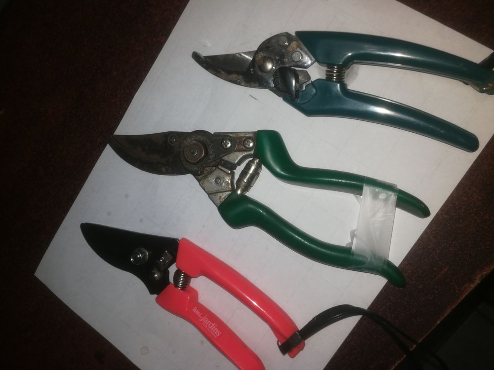 3 cisailles pour taille Bricolage