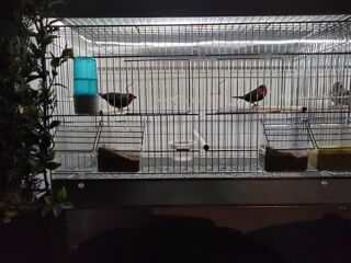  Autres � vendre 1 m�