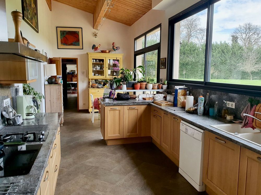 � vendre  Propri�t�/ch�teau Peyssies (31390)