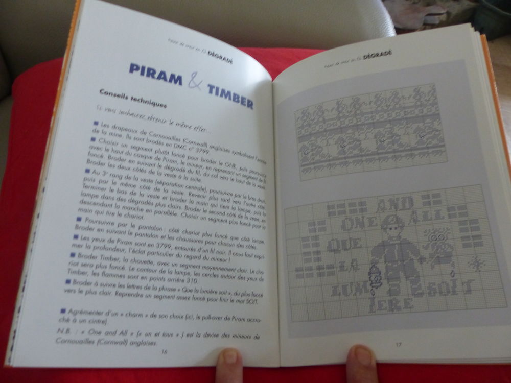 " POINT DE CROIX AU FIL DEGRADE " Livres et BD