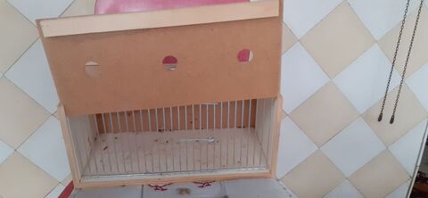 cages transport canaris 12 59146 Pecquencourt