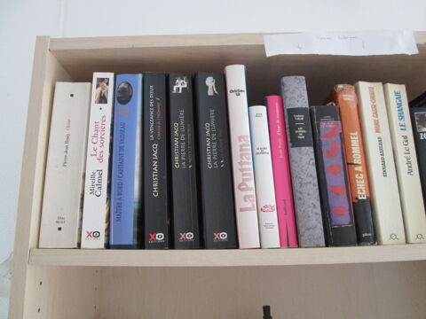 Lot de 15 romans historiques 13 Herblay (95)