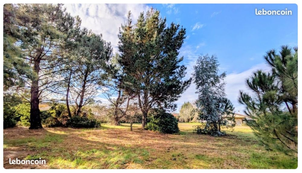 Vente Terrain Lot 3 terrains constructibles (3275m²) et maison Landaise Sainte-eulalie-en-born