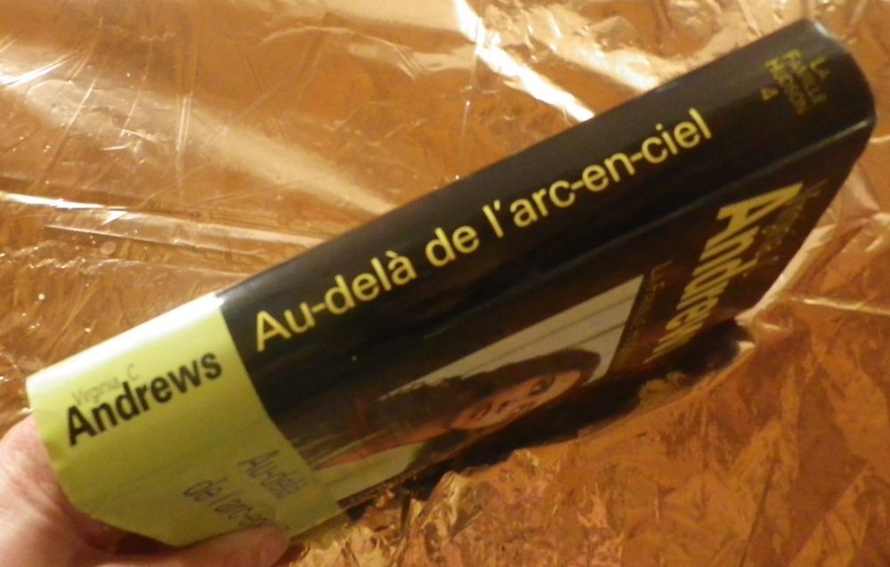 AU-DELA DE L'ARC-EN-CIEL T4 LA FAMILLE HUDSON V. C. ANDREWQ Livres et BD