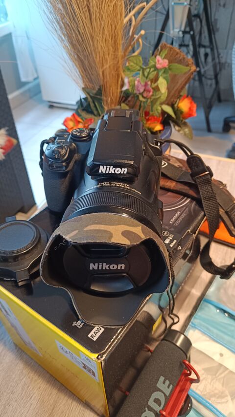 Nikon P1000 900 Villeurbanne (69)