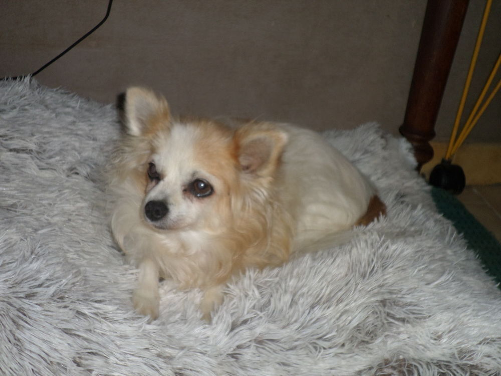   AVIS DE RECHERCHE 