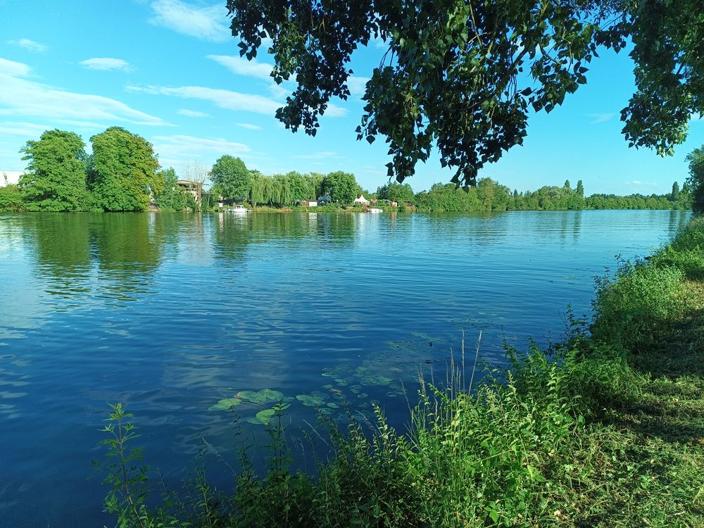 Recherche emplacement de p&ecirc;che a l ann&eacute;e dans un &eacute;tang Jardin