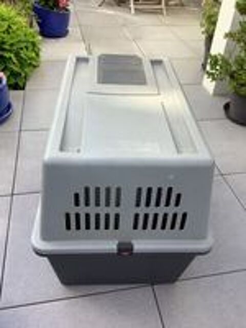   Cage de transport pour grand chien 