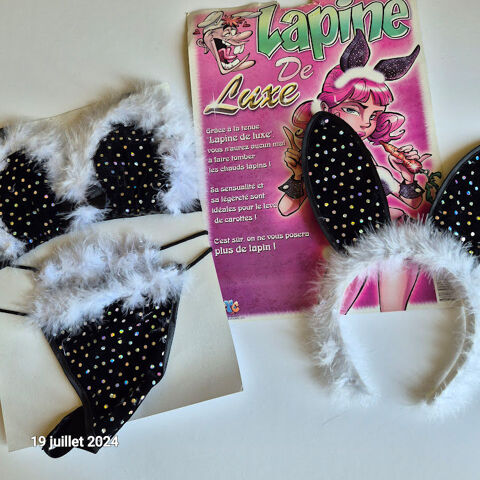 D�guisement de Lapine Sexy Luxe pour femme 15 Saumur (49)