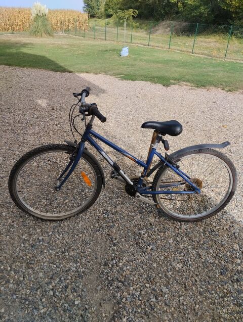 Paruvendu velo sales