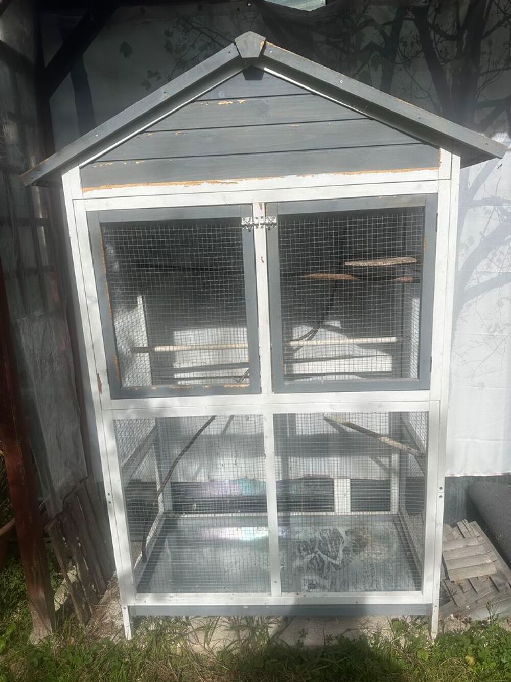   volire pour perruches 