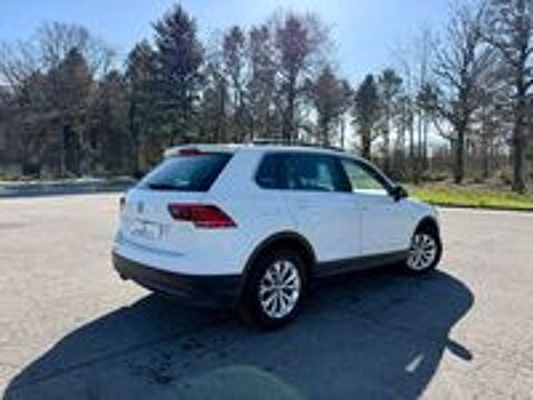 Tiguan 2.0 TDI 115 BMT Confortline Business 2017 occasion 65800 Aureilhan
