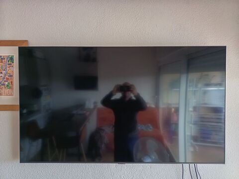 TV SAMSUNG 350 Palavas-les-Flots (34)