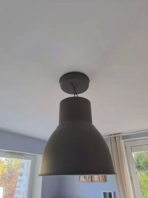 Suspension luminaire 45 L'Hermitage (35)